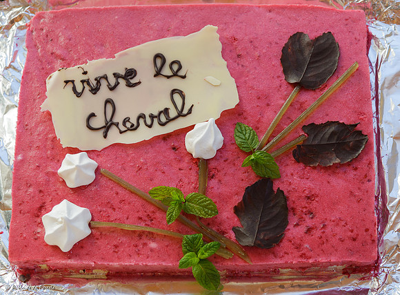 Vive le cheval !