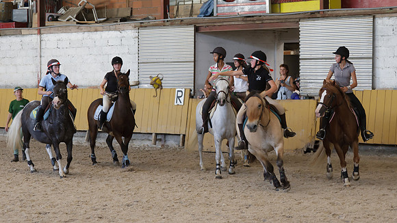 Fête du cheval 2010