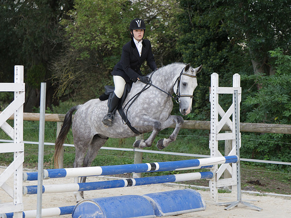 Fête du cheval 2010