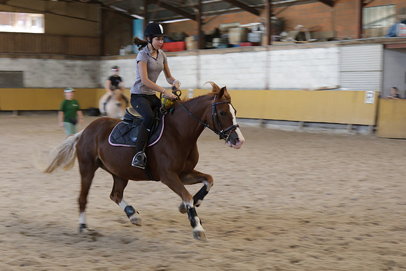 Fête du cheval 2010