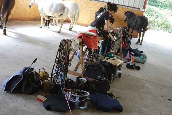 Fête du cheval 2010