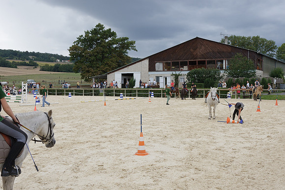Fête du cheval 2010