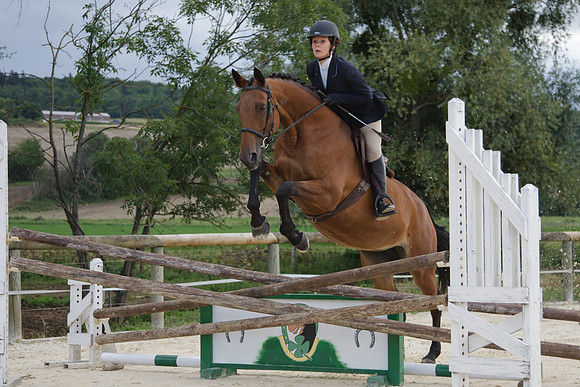 Fête du cheval 2010