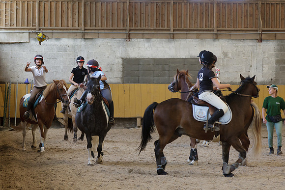 Fête du cheval 2010