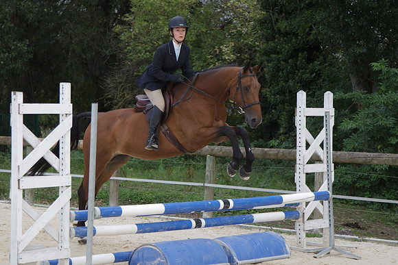 Fête du cheval 2010