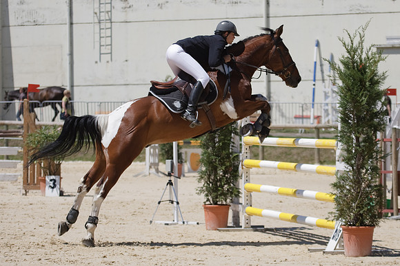 CSO Amateur 1 Grand Prix (1m20)