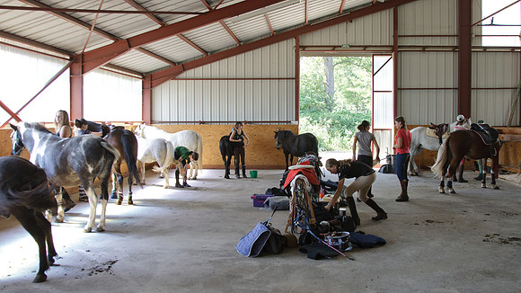 Fête du cheval 2010