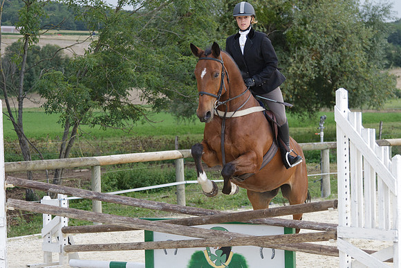 Fête du cheval 2010