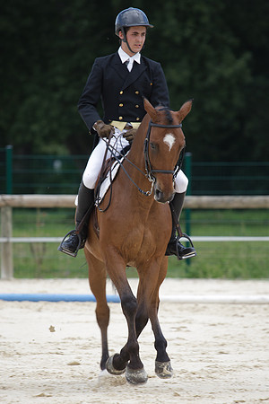 Fête du cheval 2010