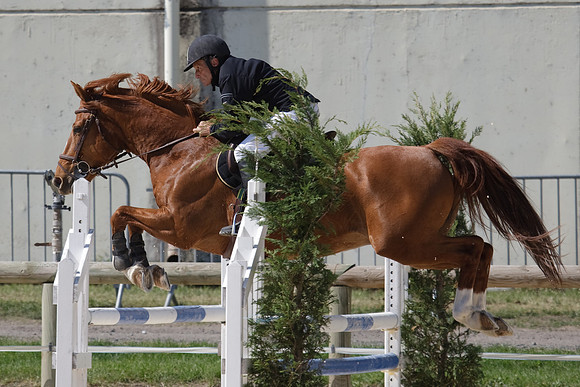 CSO Amateur 2 Grand Prix (1.05m)