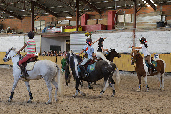Fête du cheval 2010