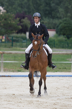 Fête du cheval 2010