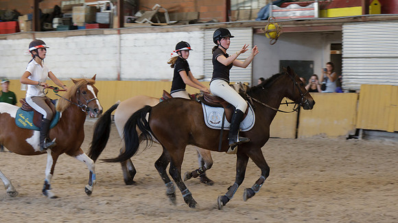 Fête du cheval 2010
