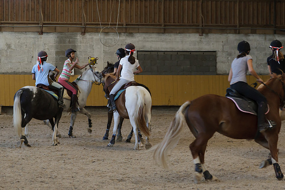 Fête du cheval 2010