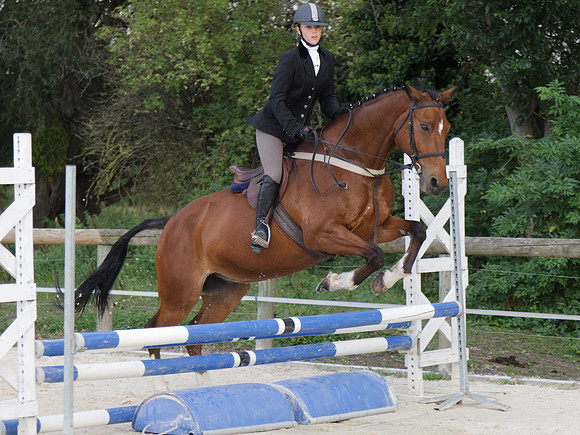 Fête du cheval 2010