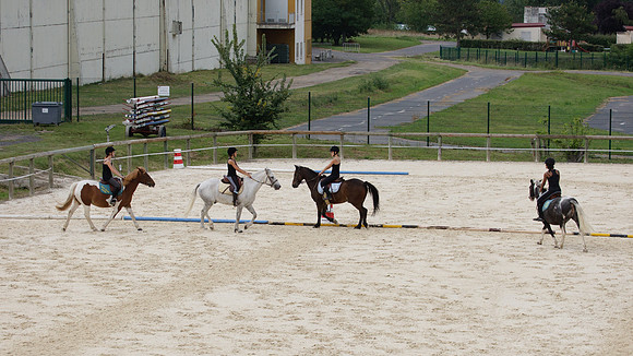 Fête du cheval 2010