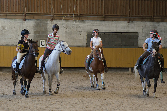 Fête du cheval 2010