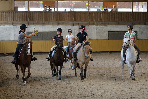 Fête du cheval 2010