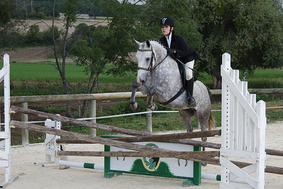 Fête du cheval 2010