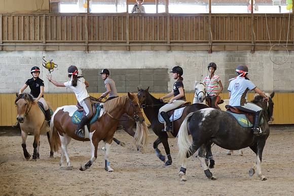 Fête du cheval 2010
