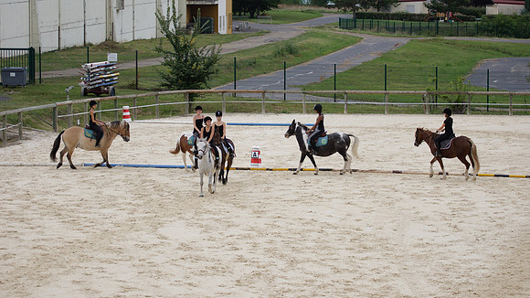 Fête du cheval 2010