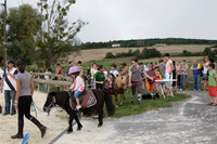 Fête du cheval 2010