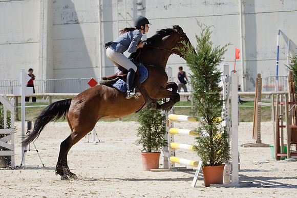 CSO Amateur 2 Grand Prix (1.05m)