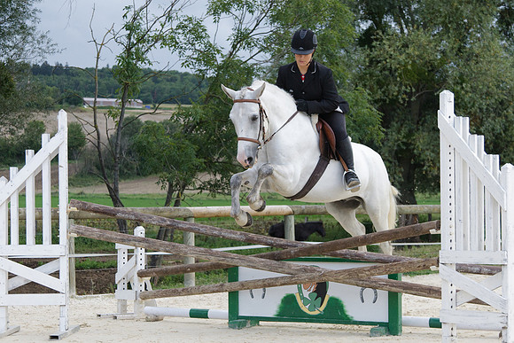 Fête du cheval 2010