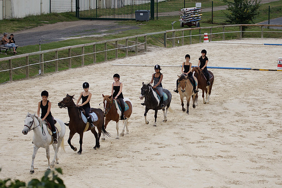 Fête du cheval 2010