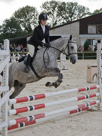 Fête du cheval 2010