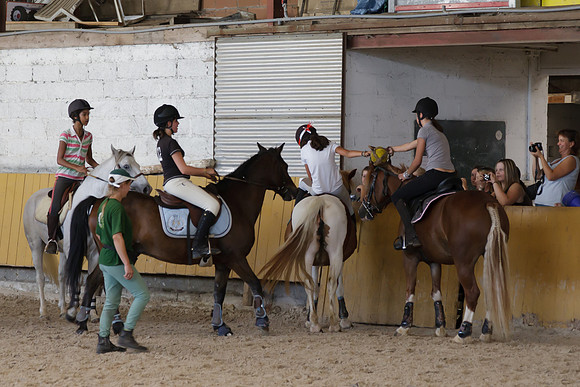 Fête du cheval 2010