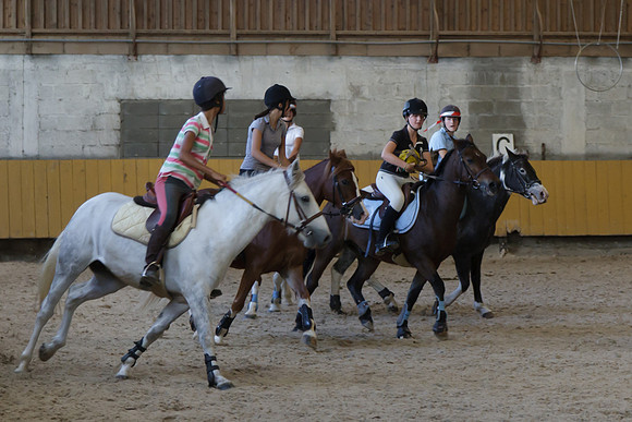 Fête du cheval 2010