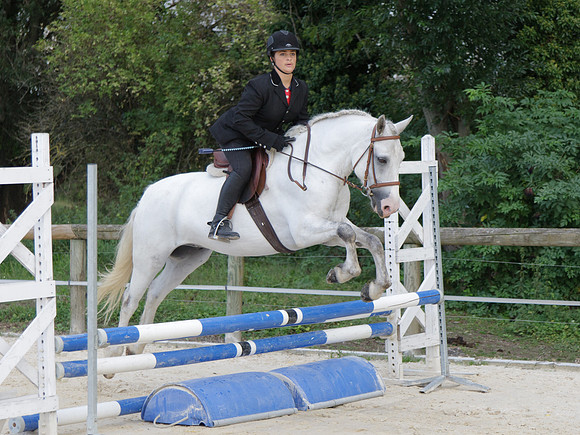 Fête du cheval 2010