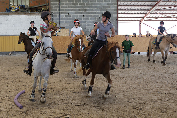 Fête du cheval 2010