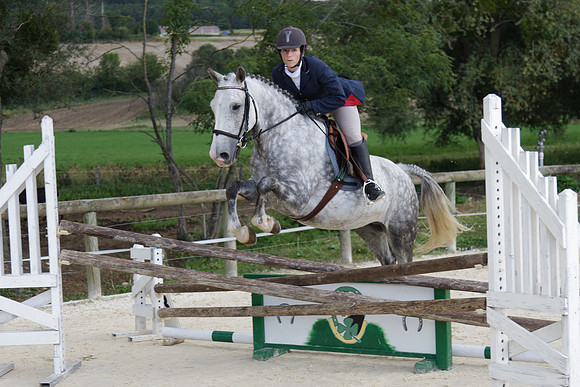Fête du cheval 2010