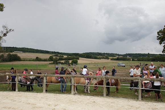 Fête du cheval 2010