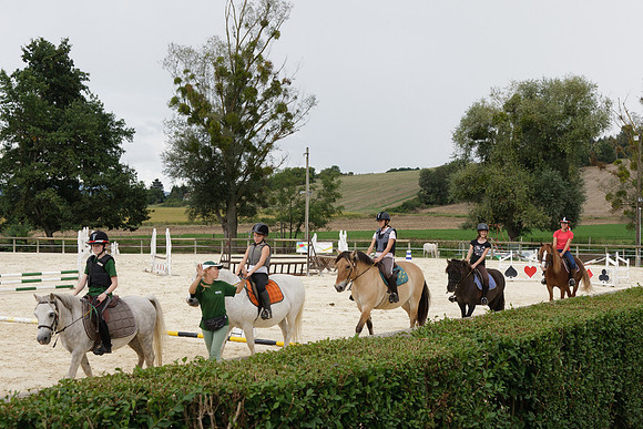 Fête du cheval 2010