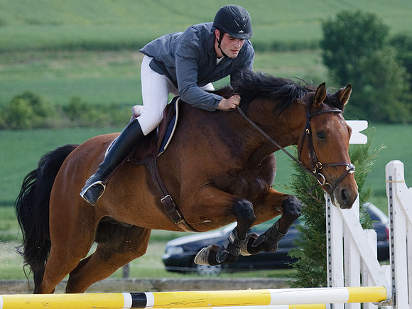 CSO Amateur 2 Spéciale (1,05m)