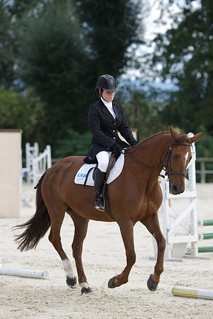 Fête du cheval 2010