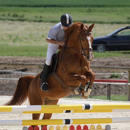 CSO Amateur 2 Spéciale (1,05m)
