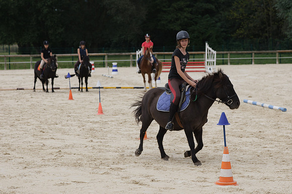 Fête du cheval 2010