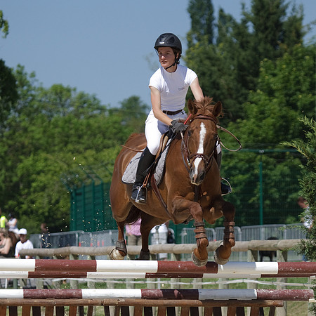 CSO Amateur 3 préparatoire (0,95m)