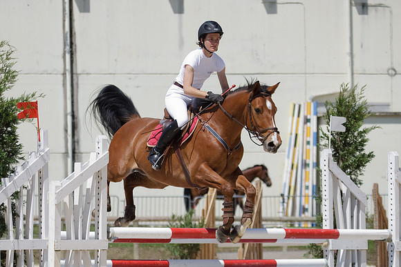 CSO Amateur 3 Préparatoire (0,95m)