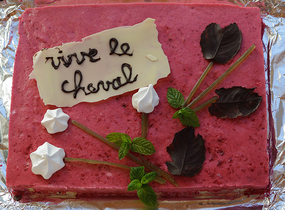 Vive le cheval !