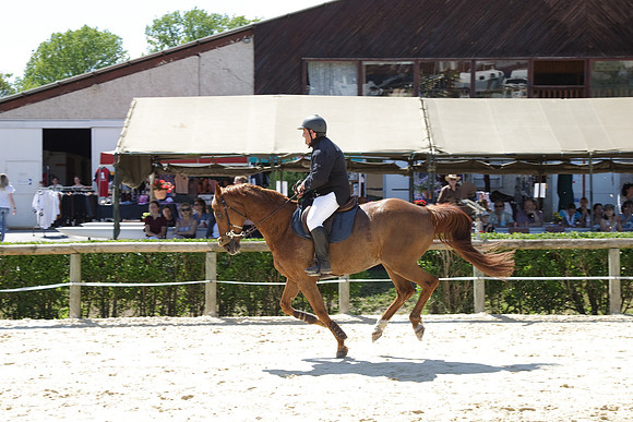 CSO Amateur 1 Grand Prix (1m20)
