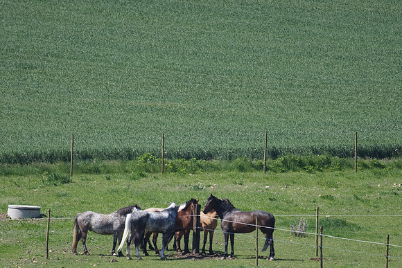 CSO Amateur 3 préparatoire (0,95m)