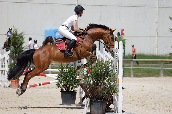 CSO Amateur 3 Préparatoire (0,95m)