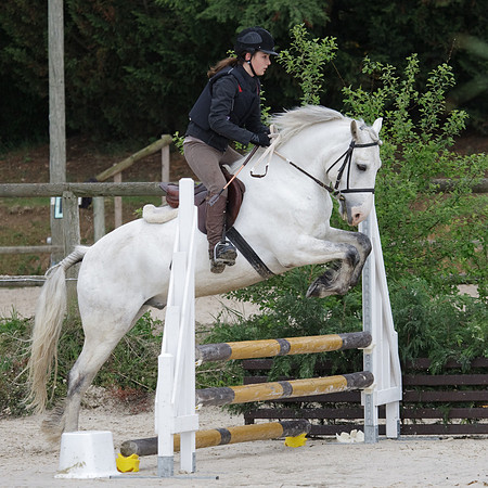 Hunter Vic-le-Comte 2 Mai 2010