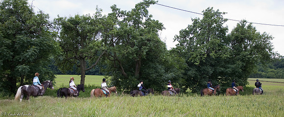 5D-20080615-068