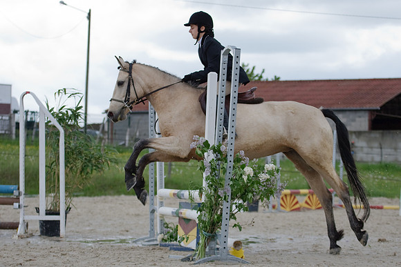 Hunter Vic-le-Comte 2 Mai 2010